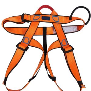 Delta Plus fall arrest harness in Kenya